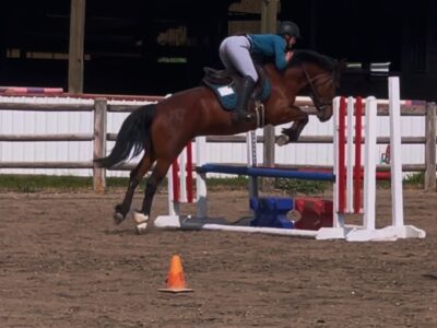 Phadrea, 4yo, Twin Peaks, CA