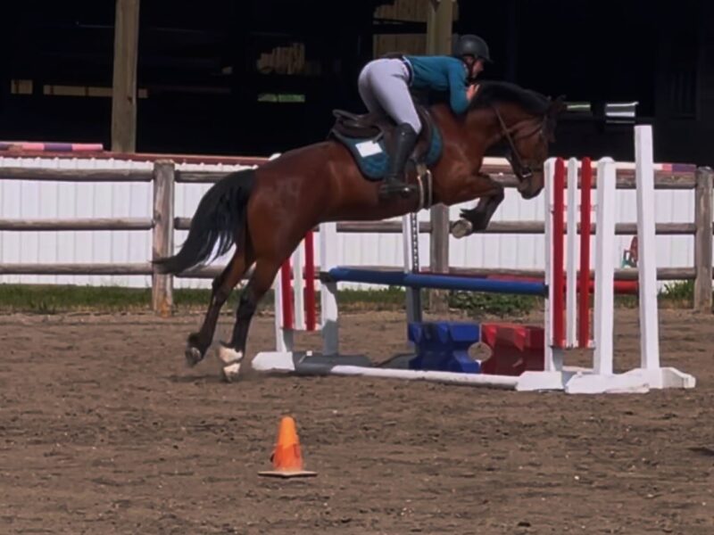 Phadrea, 4yo, Twin Peaks, CA