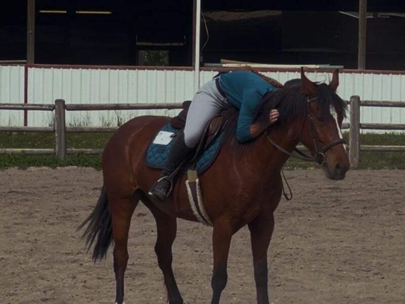 Phadrea, 4yo, Twin Peaks, CA
