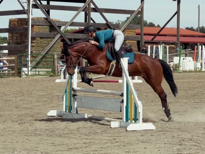 Phadrea, 4yo, Twin Peaks, CA