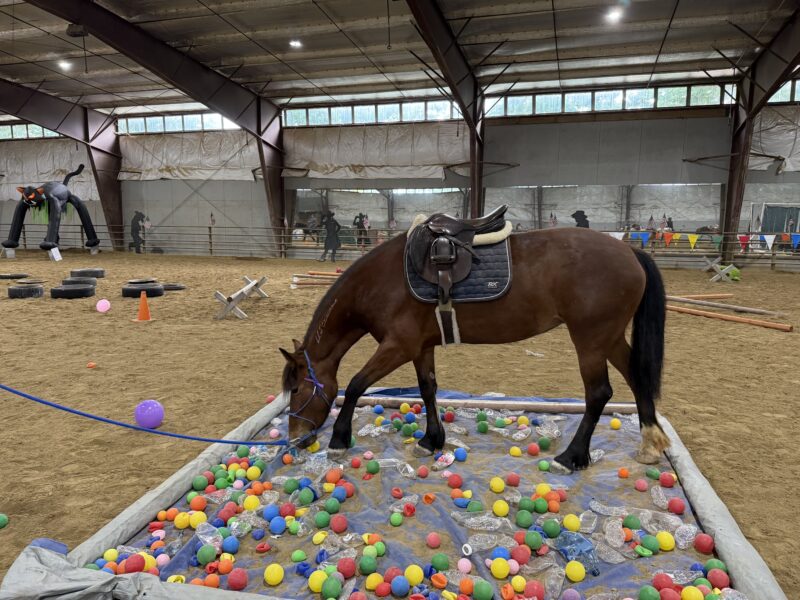 Phadrea, 4yo, Twin Peaks, CA