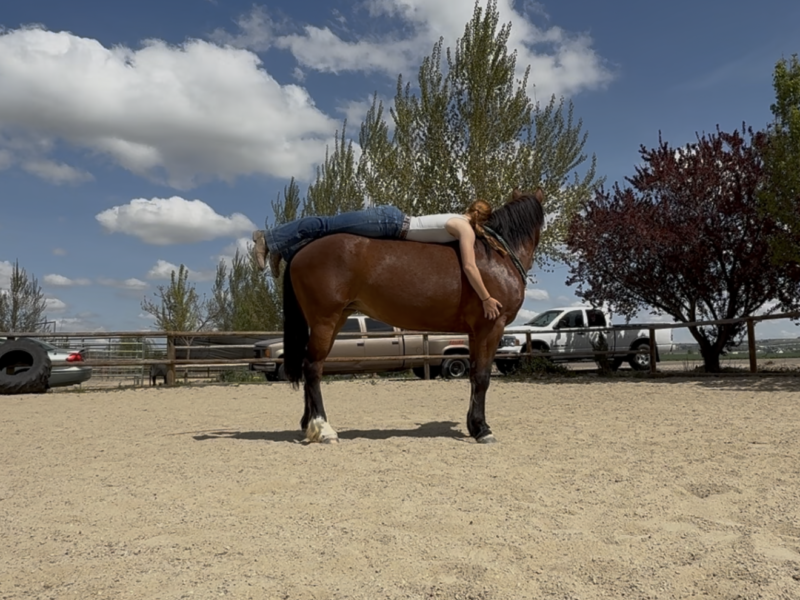 Phadrea, 4yo, Twin Peaks, CA