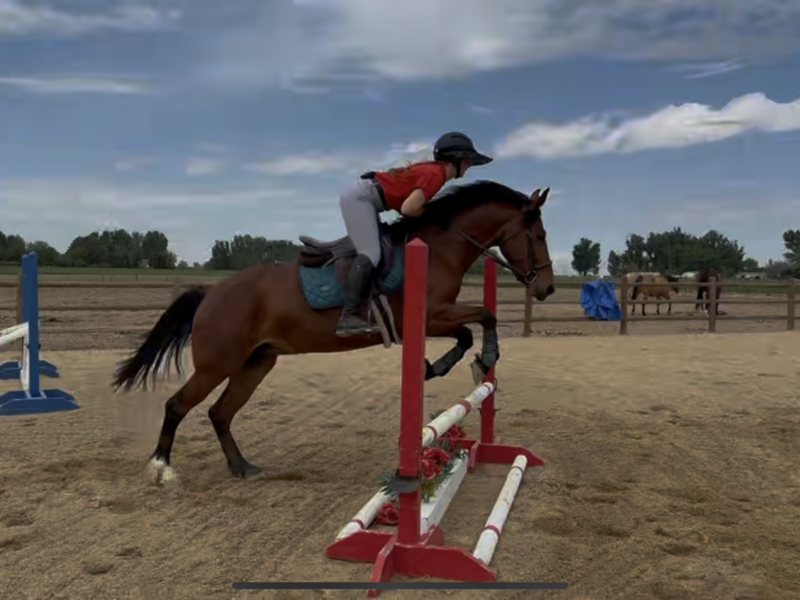 Phadrea, 4yo, Twin Peaks, CA