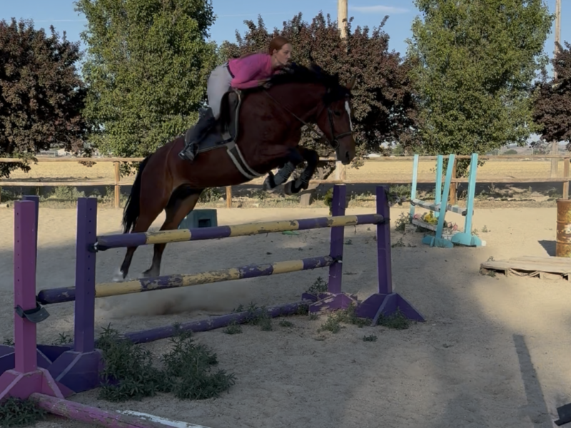 Phadrea, 4yo, Twin Peaks, CA
