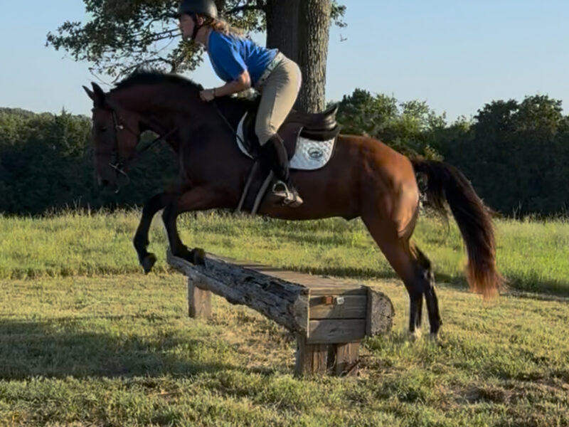 Fritz (Triple B’s Gotta Skedaddle)
